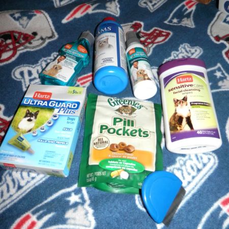 Pet Odds and Ends (Limington)