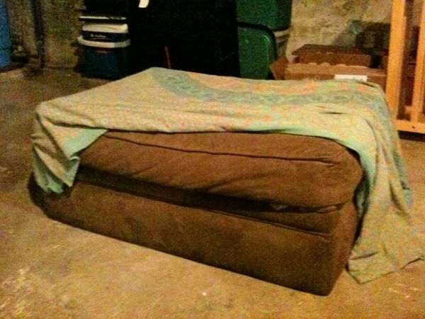 ottoman as dog bed (Buxton)
