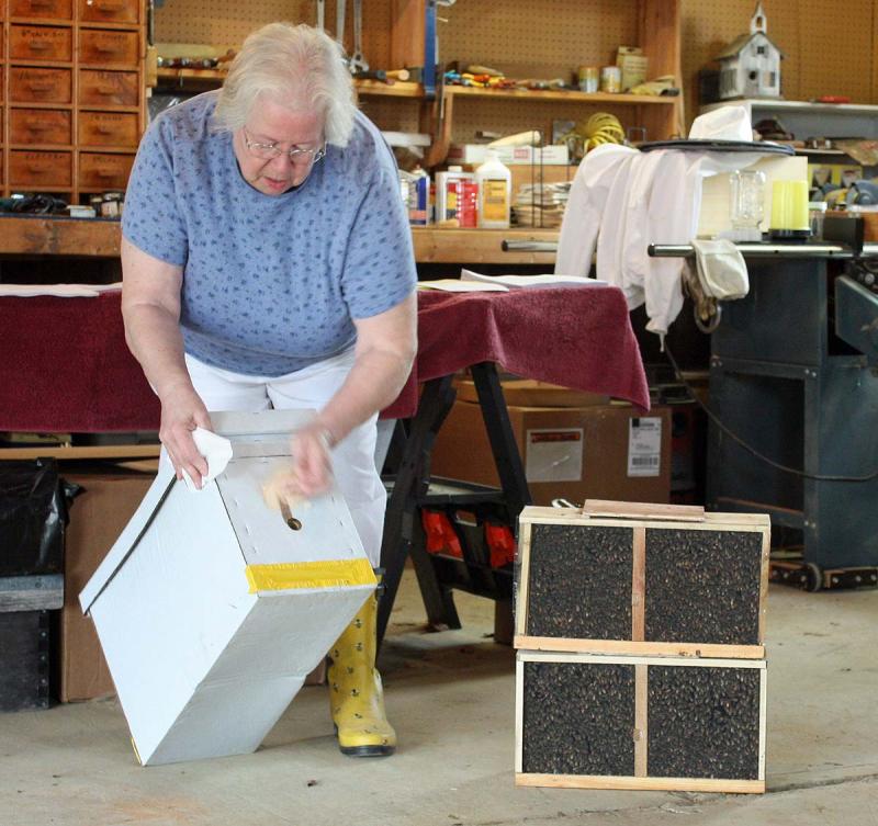 Jean Vose describes a nuclues of bees, left, and a package of bees, right. (Photo by Holly S. Edwards)