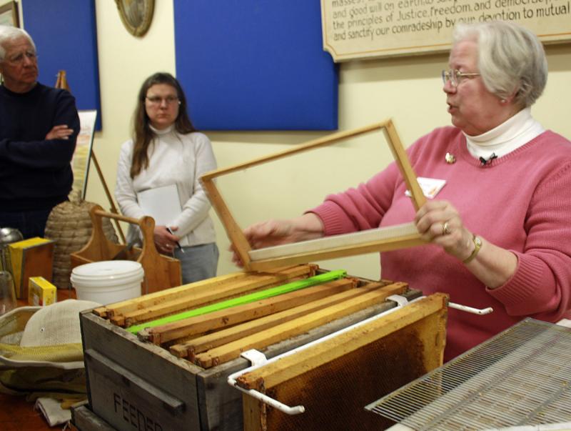 Jean Vose shows students a foundationless frame, on which honeybees will build the entire foundation of honeycomb with beeswax. (Photo by Holly S. Edwards)