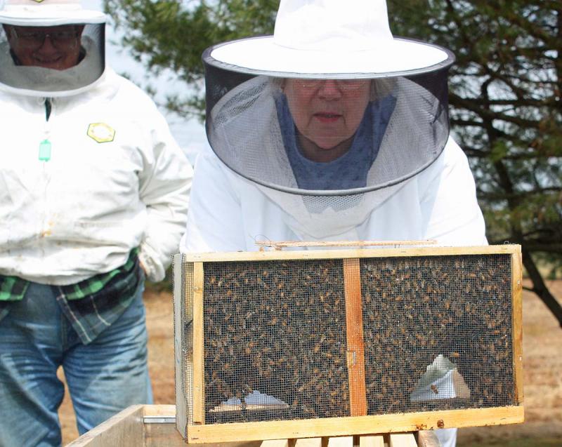 It was a bit cold for Saturday morning's beehive installation at Jean Vose's house, which worked to our advantage as the bees were calm and quiet and a cinch to work with. (Photo by Holly S. Edwards)