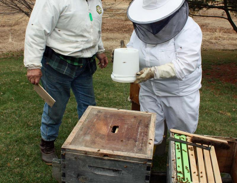 Adding the feeding bucket on top of the inner cover of the hive. (Photo by Holly S. Edwards)