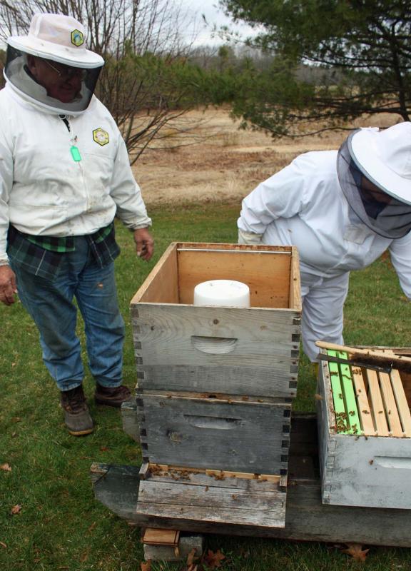 A medium box goes over the feeding bucket to protect it from the elements and keep the bees inside. (Photo by Holly S. Edwards)