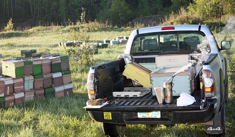 Stacks of nucleus boxes await us in the fields at Humble Abodes woodenware supplier in Windsor. (Photo by Zak Edwards)