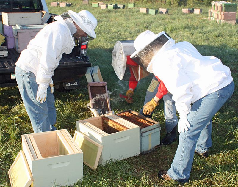 My husband, Dave, and I get a close look at our bees as beekeeper Khara Matcham pulls out frames for inspection. (Photo by Zak Edwards)