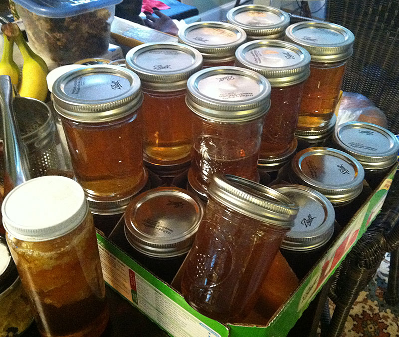 This is what 11-1/5 pounds of freshly jarred Edwards Apiary Honey looks like. (Photo by Holly S. Edwards)