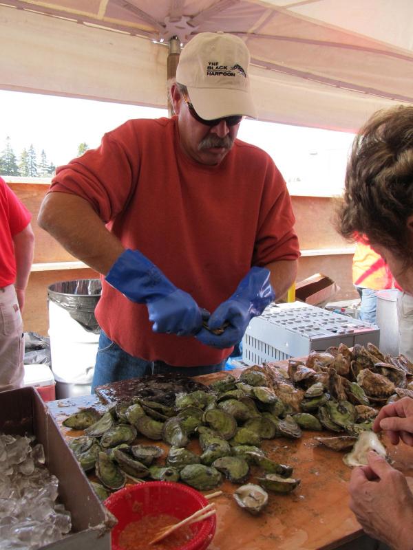 Erich Culver shucks sweet and briny oysters from North Haven. (Photo by Kay Stephens)