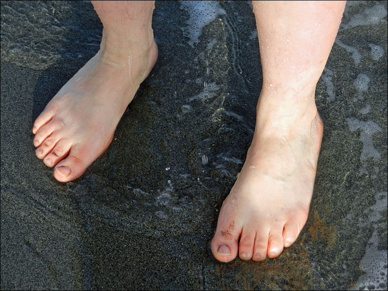 Brave polar bear feet on Matinicus. (Photo by Eva Murray)