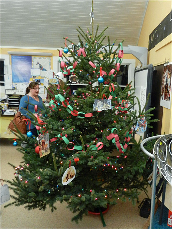 A festive island Christmas tree. (Photo by Eva Murray)