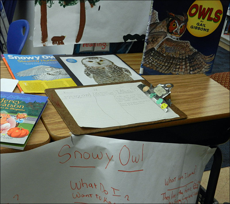Skylar’s owl display. (Photo by Eva Murray)