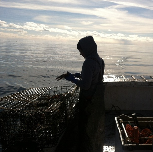 Claire Donnelly lobstering off North Haven in the winter. (Courtesy Claire Donnelly)