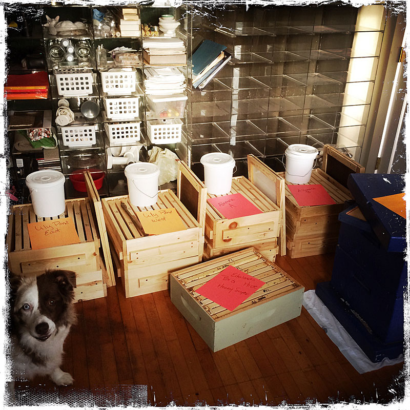As the bees were eagerly awaiting warmer weather, the beekeepers kept busy setting up new hives in preparation to welcome new bee colonies mid-April. (Photo by Holly S. Edwards)