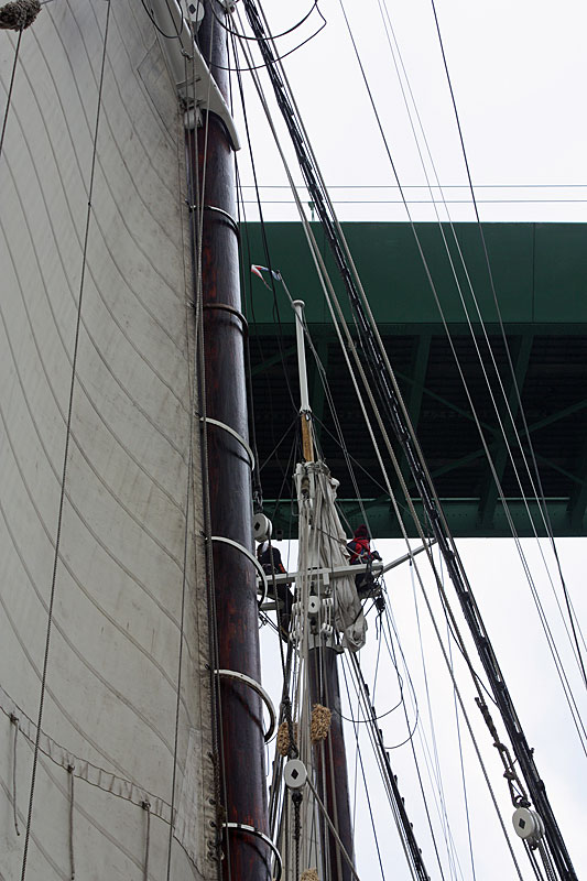 The crew of the Mary Day stays aloft during the sail under the Deer Isle bridge, partly because they had to go up to lower the top masts, and partly because they need to raise the top masts again. (Photo by Holly S. Edwards)