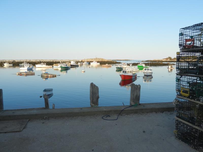 Still water: A rare sight on Matinicus.