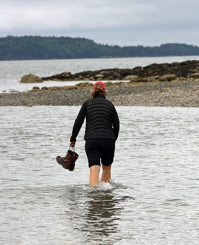 Naturalist Erika Carlson-Rhile wades along a sand bar to an outcropping covered with barnacles. (Photo by Holly S. Edwards)