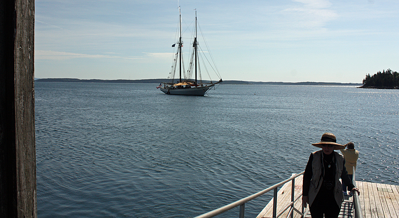 Guests arrive on the dock at Marshall Island, home of Maine Coast Heritage Trust’s Ed Woodsum Preserve. (Photo by Holly S. Edwards)