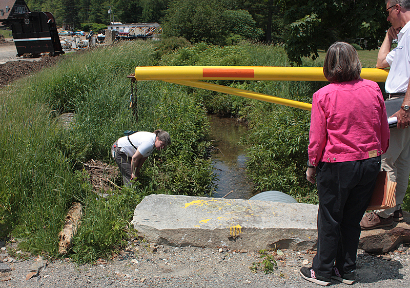Hosmer Brook and the culvert that runs under the entrance to the Camden Snow parking lot. (Photo by Holly S. Edwards)
