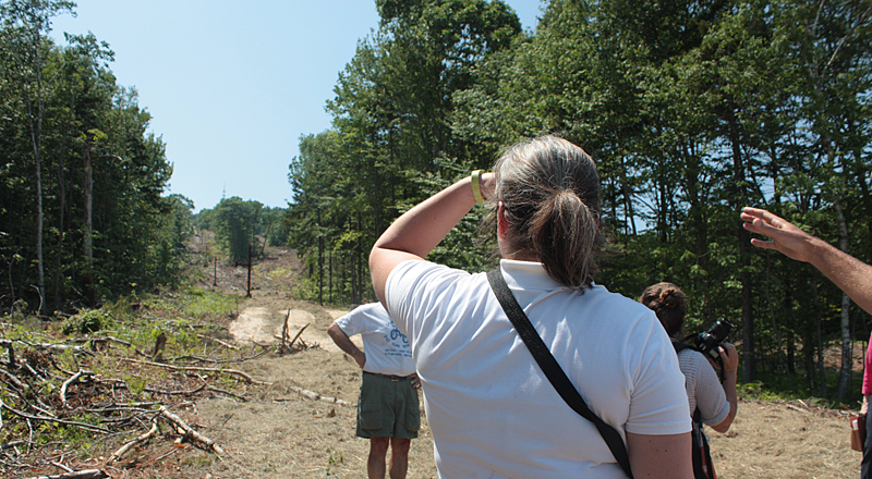 Looking up Northeaster, which is the steepest and straightest place where the skidders have worked. Pulling everything from both sides into the center created an always-open clear path in the middle for erosion to travel, especially in heavy rain. (Photo by Holly S. Edwards)