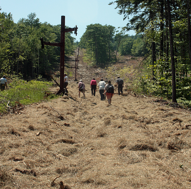 Netting and hay covers the exposed earth. (Photo by Holly S. Edwards)