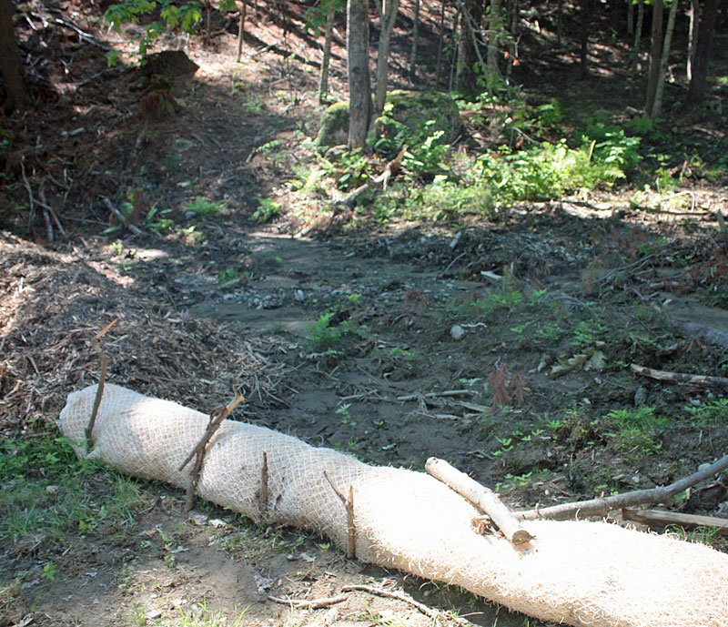 Erosion tubes, or booms, are used to both filer out silt and help direct rainwater flow. (Photo by Holly S. Edwards)