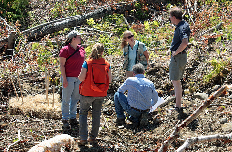 Checking out a wet area, that could be a ditch runoff, or a stream or spring. (Photo by Holly S. Edwards)