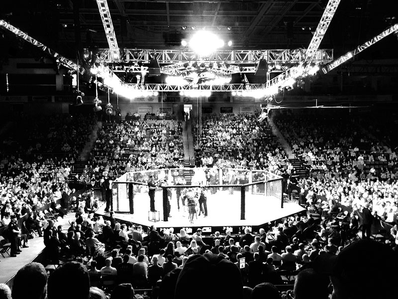 A view of the crowd at the Cross Insurance Center in Bangor, with Tim Boetsch and Brad Tavares in the ring. (Courtesy Kristen Robertson)
