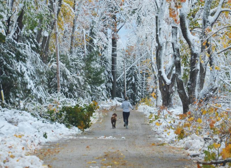 Running after the storm. (Photo by Lynda Clancy)