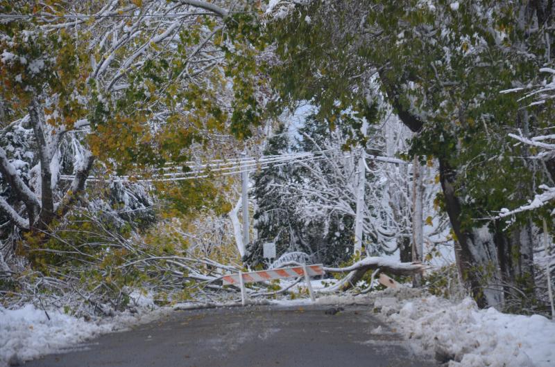 Chestnut Hill Road in Camden. (Photo by Lynda Clancy)