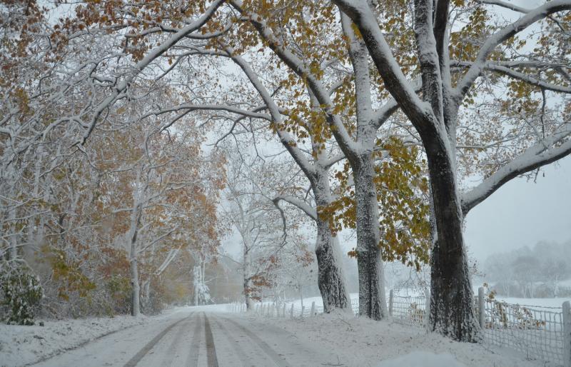 By Aldermere Farm, Nov. 3. (Photo by Lynda Clancy)