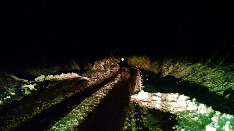Molyneaux Road in Camden, 5:30 a.m., Nov. 3. (Photo courtesy Chris Farley)