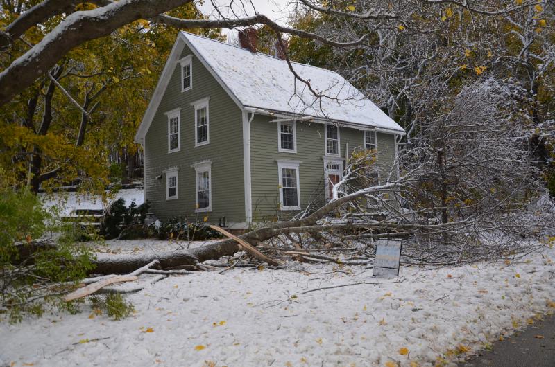 Russell Ave., Rockport. (Photo by Lynda Clancy)