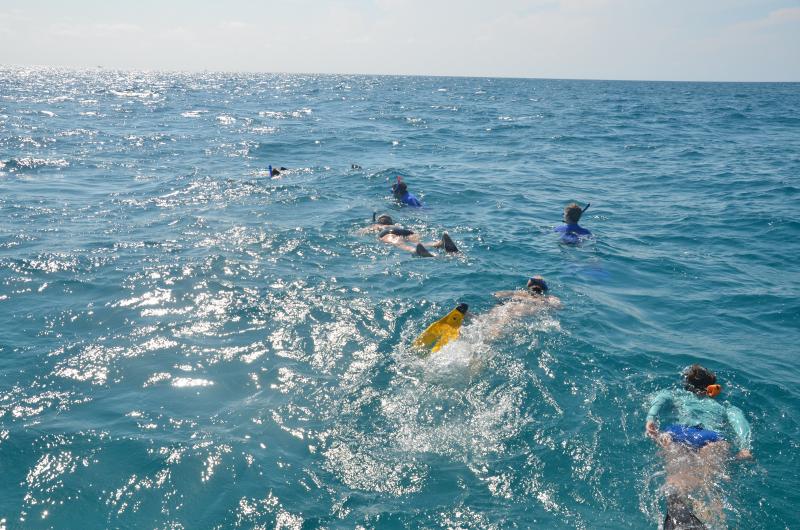 Looking for dolphins, offshore. (Photo by Lynda Clancy)