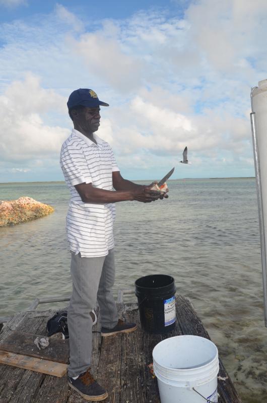 Cleaning conch. (Photo by Lynda Clancy)