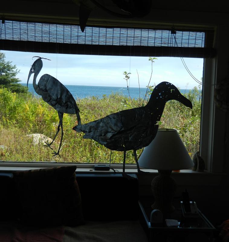 Silhouettes of a heron and a seagull.