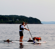 Paddle board and canine escort (Photo courtesy of LifeFlight of Maine)