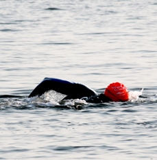 Swimmer crosses bay (Photo courtesy of LifeFlight of Maine)