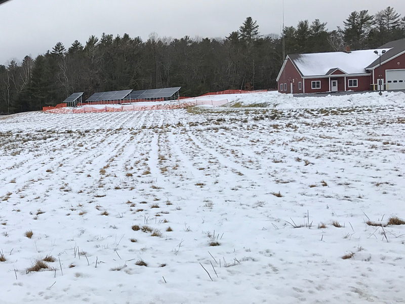 Jan. 4, all the panels are in place and the solar energy project is generating electricity. (Photo by Holly S. Edwards)