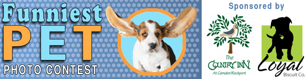 Cutest Pets Photo Contest