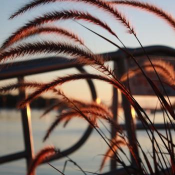 (Photo by Holly S. Edwards)