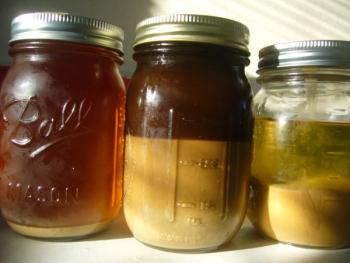 Yeast for beer (Westbrook)