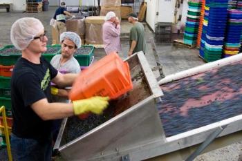 Workers process blueberries at Coastal Farms and Food Processing in 2013. The facility, which also included food storage and a commercial kitchen will close at the end of the month according to management. (Photo by Ethan Andrews)