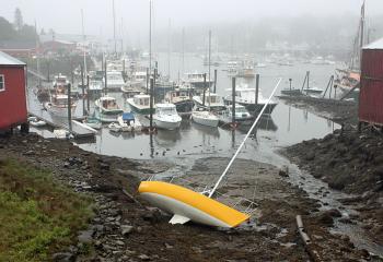 The 24-foot sailboat Kohiki lays in the mud at the head of Camden Harbor Thursday morning. (Courtesy Steve Pixley)