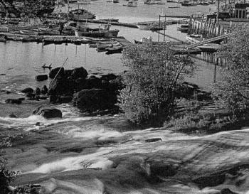 The falls. (Photo courtesy Barbara Dyer)