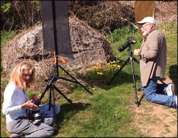 Cynthia MacDonald and Dennis Steinauer photograph dandelions for the Kansas to Oz class. (Photo by Chris Wolf)