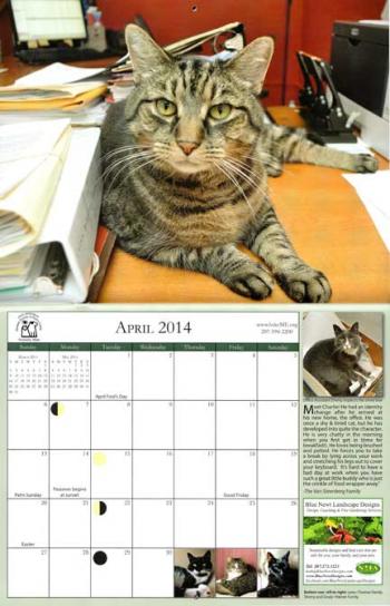 Pet calendar