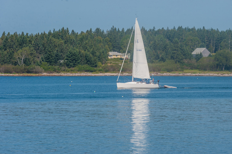 Nice day for a slow and easy sail out of the harbor at Port Clyde with a view from Marshall Point Lighthouse. Sail Boat