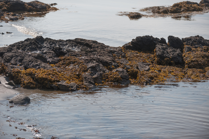 Drift Inn Beach at Port Clyde.