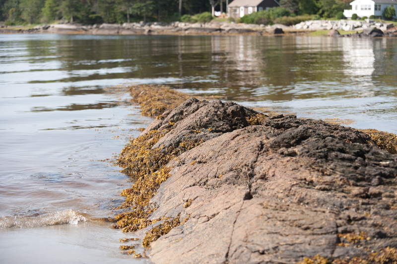 Drift Inn Beach at Port Clyde.