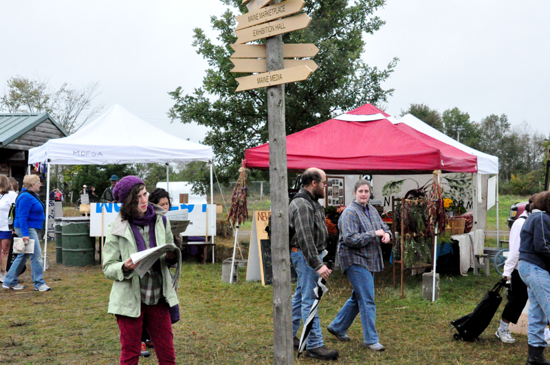 A fairgoer examines the map.