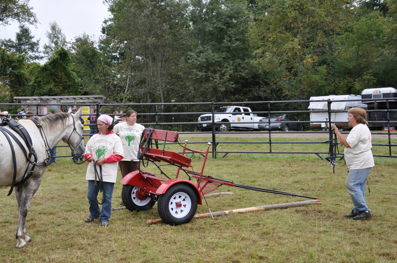 Horse demonstrations at the round pen.
